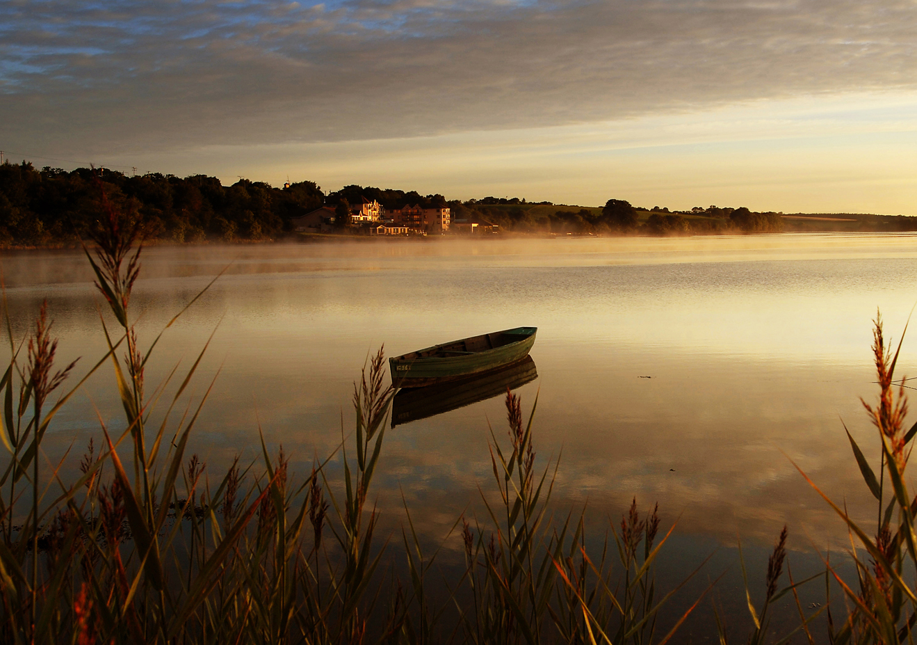 Ferrycarrig